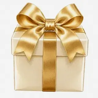 Ribbon gift box — Joe Fortune