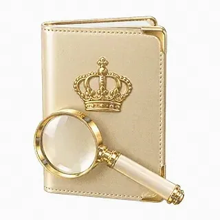 Passport magnifying glass — Joe Fortune