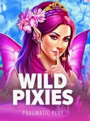 Wild Pixies at Joe Fortune