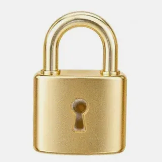 Metal padlock — Joe Fortune